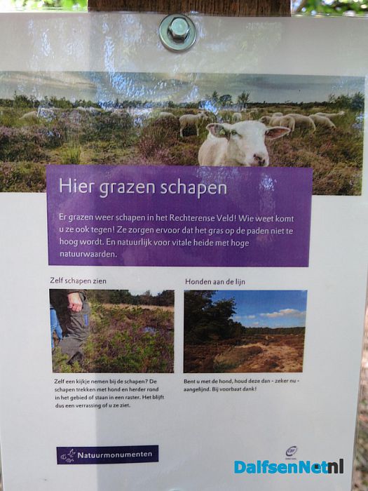 Hemelvaartsdag, dus dauwtrappen