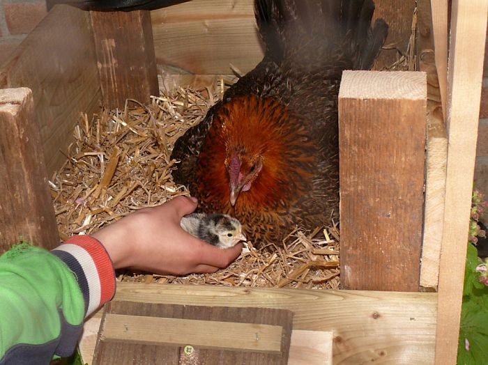 Piepjonge leerlingen op Sjaloom - Foto: Eigen geleverde foto