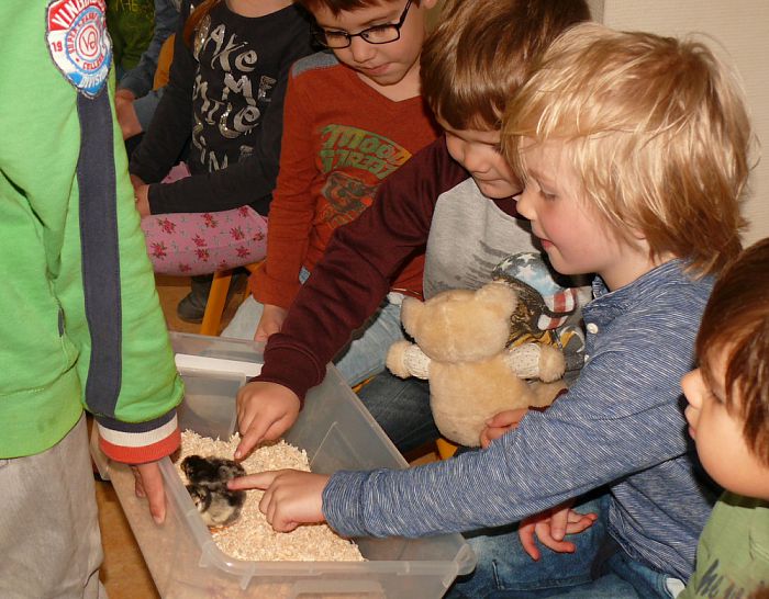 Piepjonge leerlingen op Sjaloom - Foto: Eigen geleverde foto