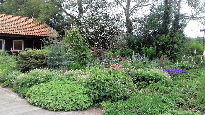 Nog meer nieuwe aanwas Groei en Bloei - Foto: Eigen geleverde foto