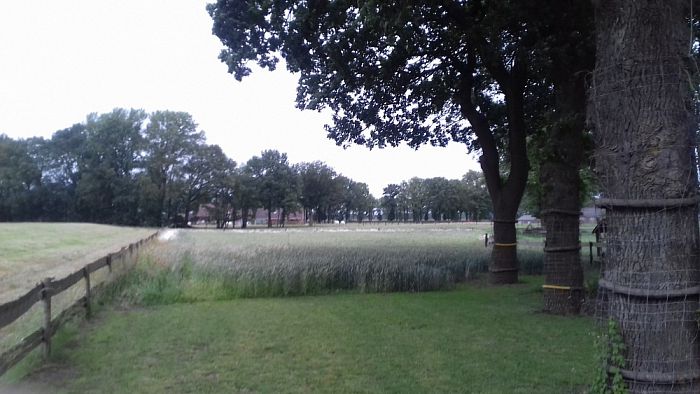 Nog meer nieuwe aanwas Groei en Bloei - Foto: Eigen geleverde foto