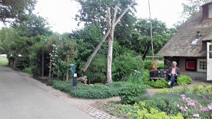 Nog meer nieuwe aanwas Groei en Bloei - Foto: Eigen geleverde foto