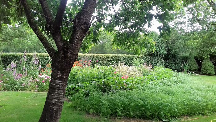 Nog meer nieuwe aanwas Groei en Bloei - Foto: Eigen geleverde foto