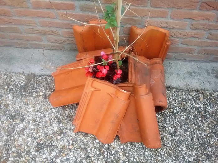 In de prijzen met “kijken is kunst” - Foto: Eigen geleverde foto