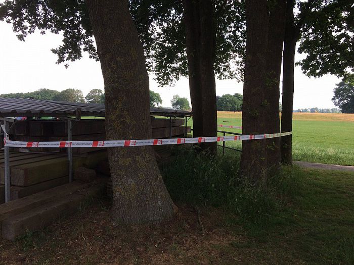De eikenprocessierups is er weer - Foto: Eigen geleverde foto