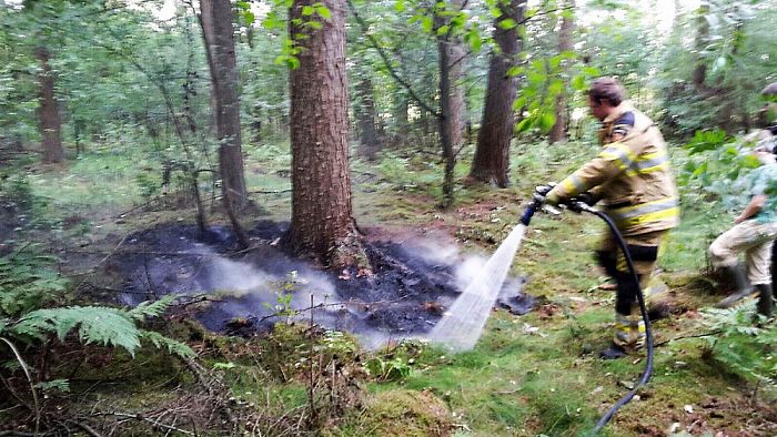 Begin bosbrandje - Foto: Politie