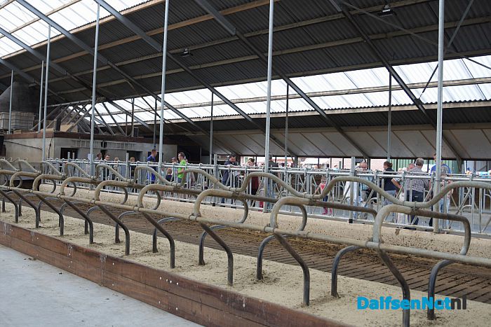 Campina Open Boerderijdag bij familie Hartkamp - Foto: Johan Bokma