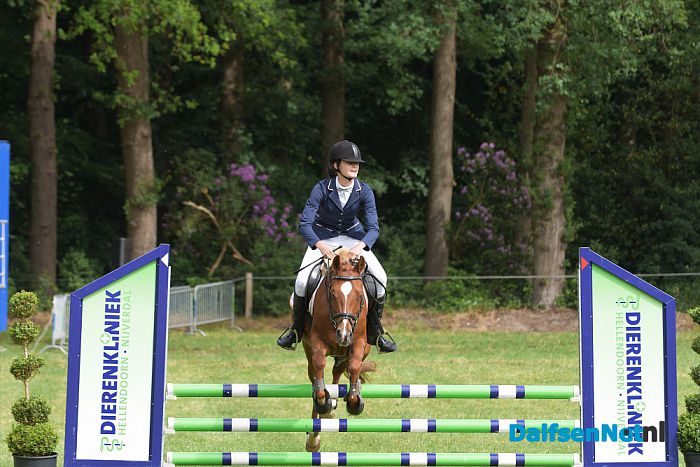 Prachtige tweede dag van het concours van Rijvereniging de Heideruiters. - Foto: Johan Bokma