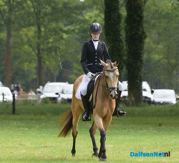 Prachtige tweede dag van het concours van Rijvereniging de Heideruiters. - Foto: Johan Bokma
