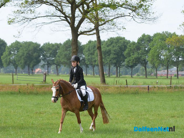 Prachtige tweede dag van het concours van Rijvereniging de Heideruiters. - Foto: Johan Bokma