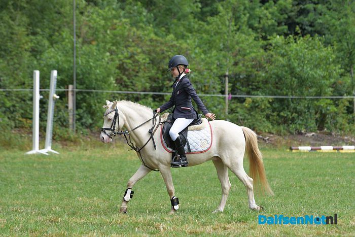 Prachtige tweede dag van het concours van Rijvereniging de Heideruiters. - Foto: Johan Bokma