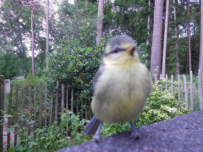 Bijna op de lens - Foto: Eigen geleverde foto