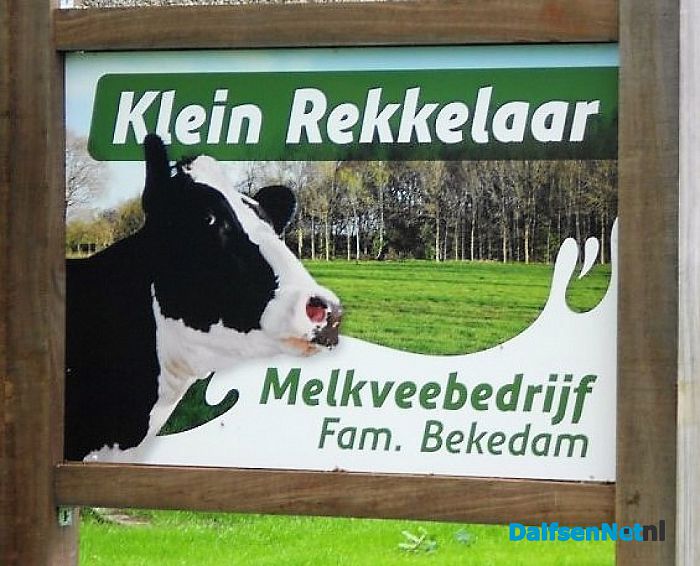 Klein Rekkelaar, dat mag best gezien worden