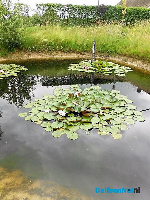 Sterrebos weer deelnemers Groei en Bloei