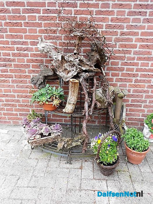 Sterrebos weer deelnemers Groei en Bloei