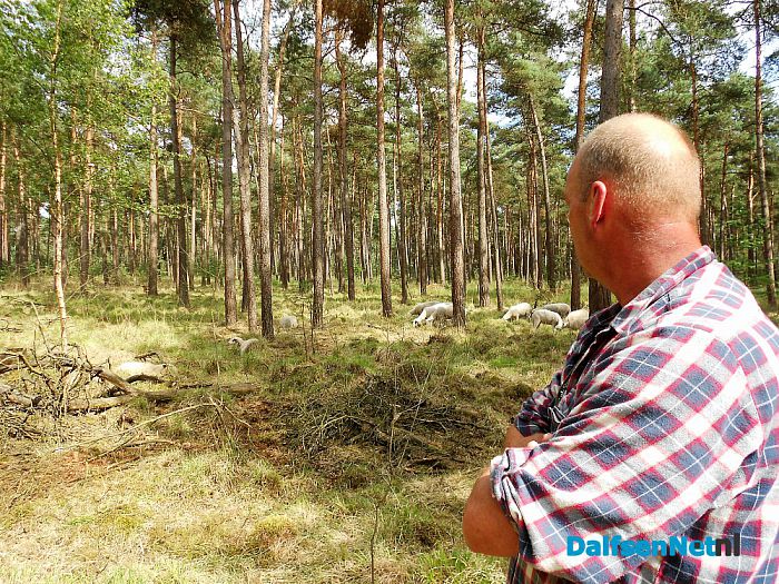 Wandel mee naar de schaapskudde