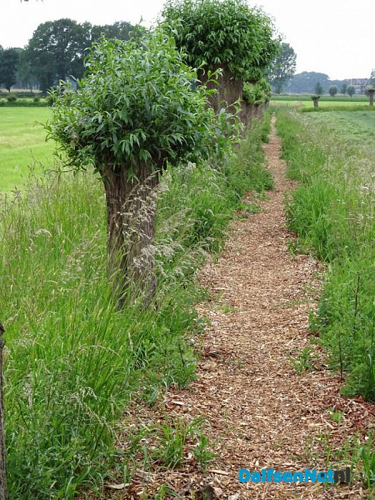 Wandelpad Hessum – brug Dalfsen - Foto: Ingezonden foto