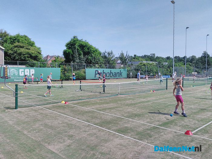 Schooltennis Nieuwleusen - Foto: Ingezonden foto