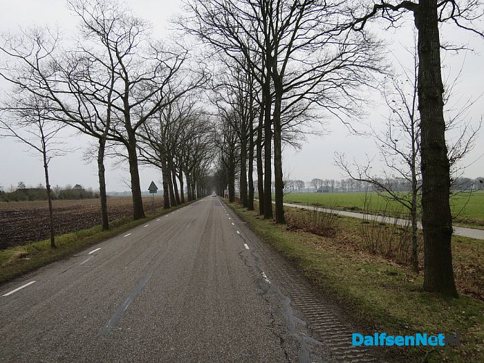 Jachtlusterallee: Raad kiest voor 60 km weg - Foto: Wim
