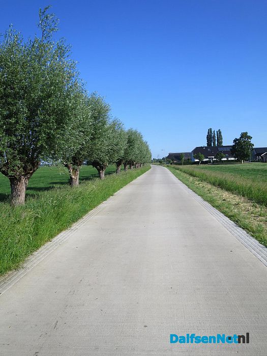 Wordt Jachtlusterallee een betonweg? - Foto: Wim