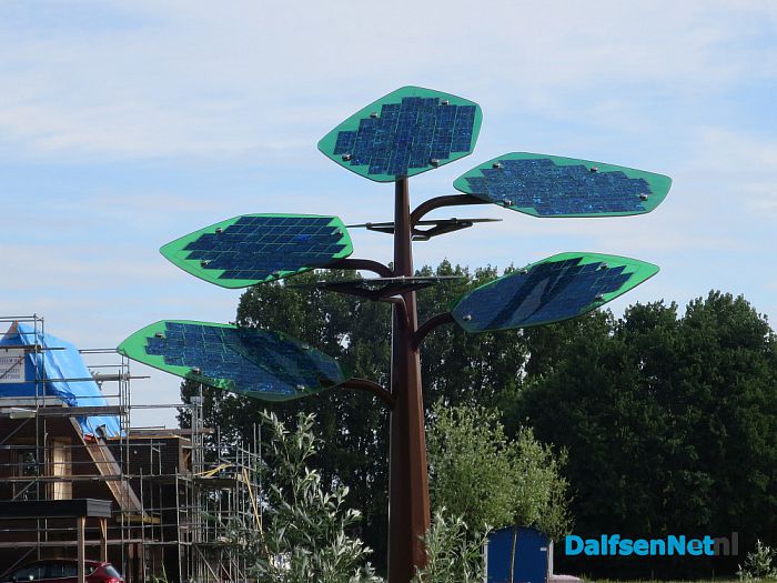 Een zonneboom - Foto: Wim