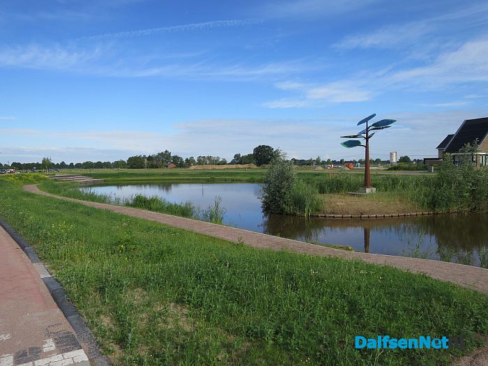 Een zonneboom - Foto: Wim