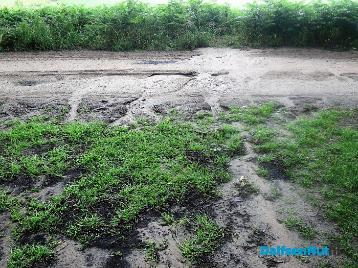 De wadi heeft zijn dienst bewezen in Hoonhorst - Foto: Wim