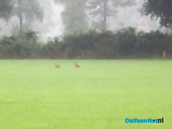 De wadi heeft zijn dienst bewezen in Hoonhorst - Foto: Wim