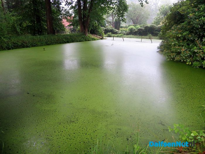 De wadi heeft zijn dienst bewezen in Hoonhorst - Foto: Wim