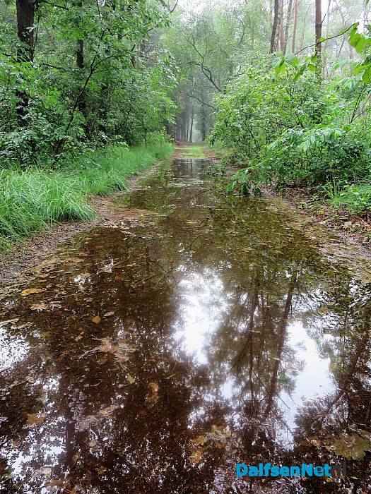 De wadi heeft zijn dienst bewezen in Hoonhorst - Foto: Wim