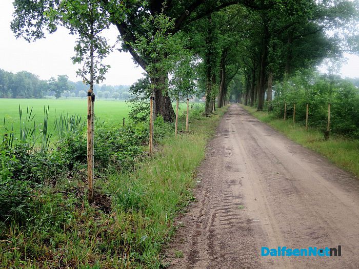 De wadi heeft zijn dienst bewezen in Hoonhorst - Foto: Wim
