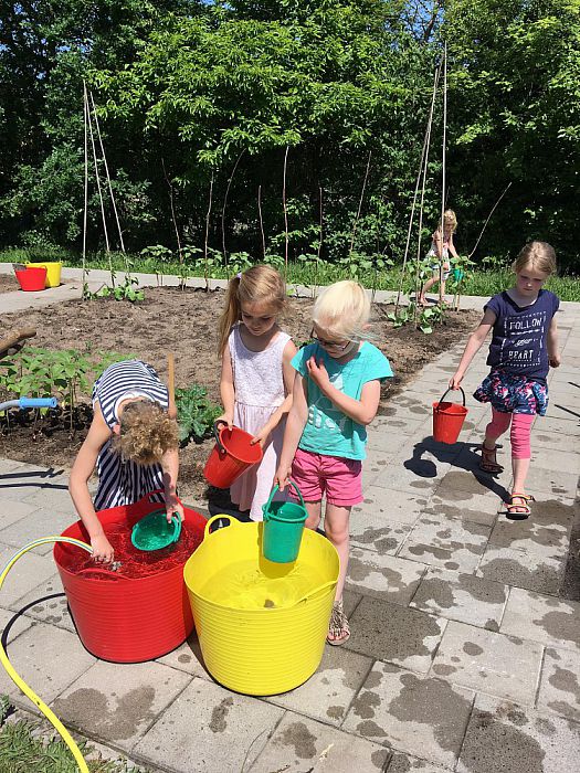 De groe(n)ten van Daltonschool Het Kompas - Foto: Eigen geleverde foto