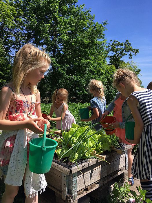 De groe(n)ten van Daltonschool Het Kompas - Foto: Eigen geleverde foto