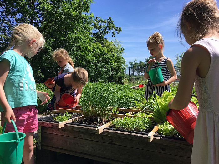 De groe(n)ten van Daltonschool Het Kompas - Foto: Eigen geleverde foto