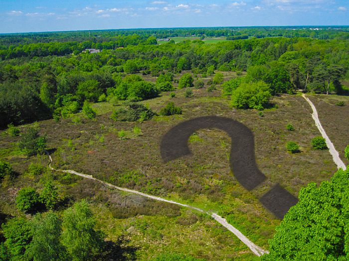 Landschap Overijssel zoekt heidemerk - Foto: Eigen geleverde foto