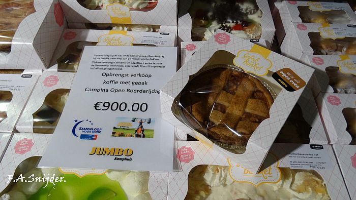 Mooi bedrag voor SamenLoop voor Hoop - Foto: Eigen geleverde foto