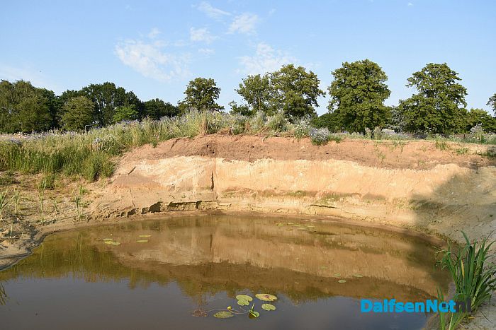 Oeverzwaluwen nestelen in zandwal Leemculehof - Foto: Johan Bokma