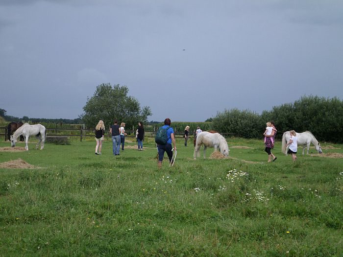 Paardenpicknick en daarbij is Ine Ruijfrok onze gast - Foto: Eigen geleverde foto