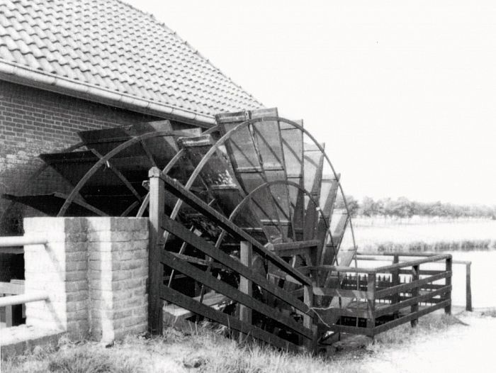 Subsidie voor koesteren - Foto: Eigen geleverde foto