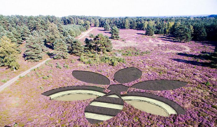 Winnende bij-bloem op de Lemelerberg te zien - Foto: Eigen geleverde foto