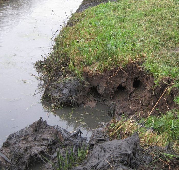 Dijken inspecteren - Foto: Eigen geleverde foto
