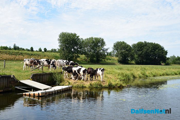 Met het Pontje Hessum over de Vecht - Foto: Johan Bokma
