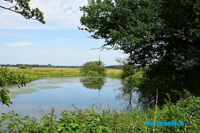 Met het Pontje Hessum over de Vecht - Foto: Johan Bokma