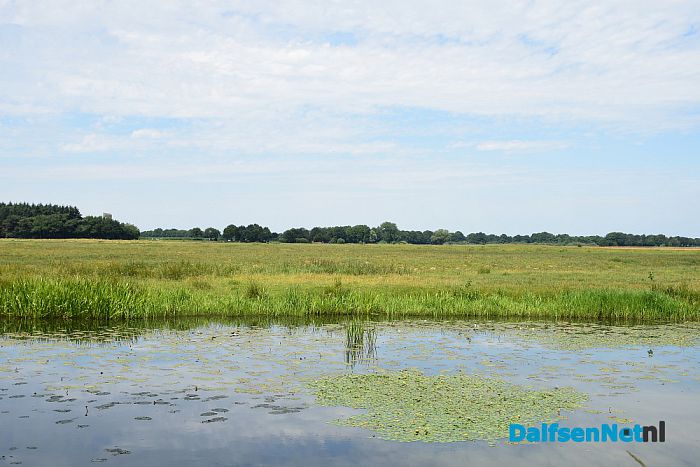 Met het Pontje Hessum over de Vecht - Foto: Johan Bokma