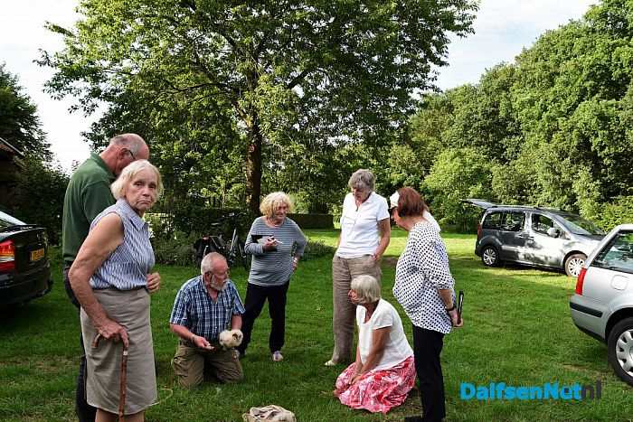 Kerkuilen geringd in Hessum - Foto: Johan Bokma