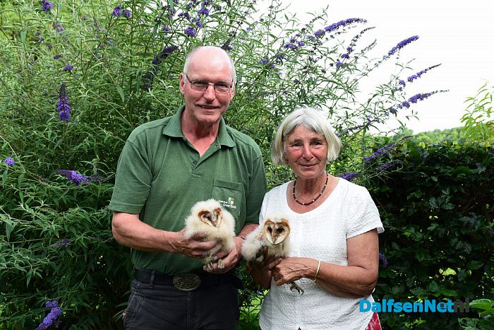 Kerkuilen geringd in Hessum - Foto: Johan Bokma