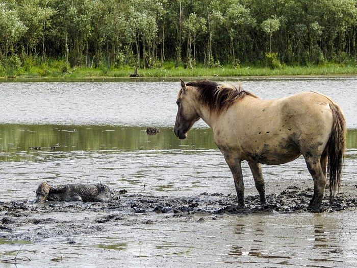 Heldenrol voor plaatsgenoot Rob Lengkeek - Foto: Eigen geleverde foto