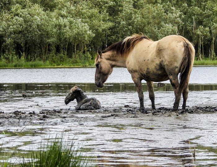 Heldenrol voor plaatsgenoot Rob Lengkeek - Foto: Eigen geleverde foto