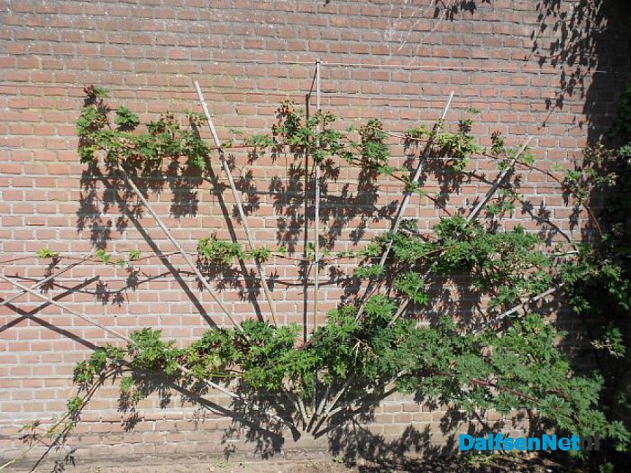 5 jaar alweer is de molen gebruiksklaar
