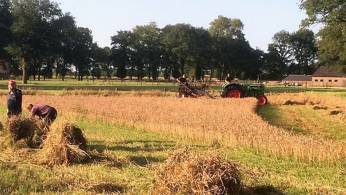 Graan gemaaid vechtdalbrouwerij - Foto: Eigen geleverde foto